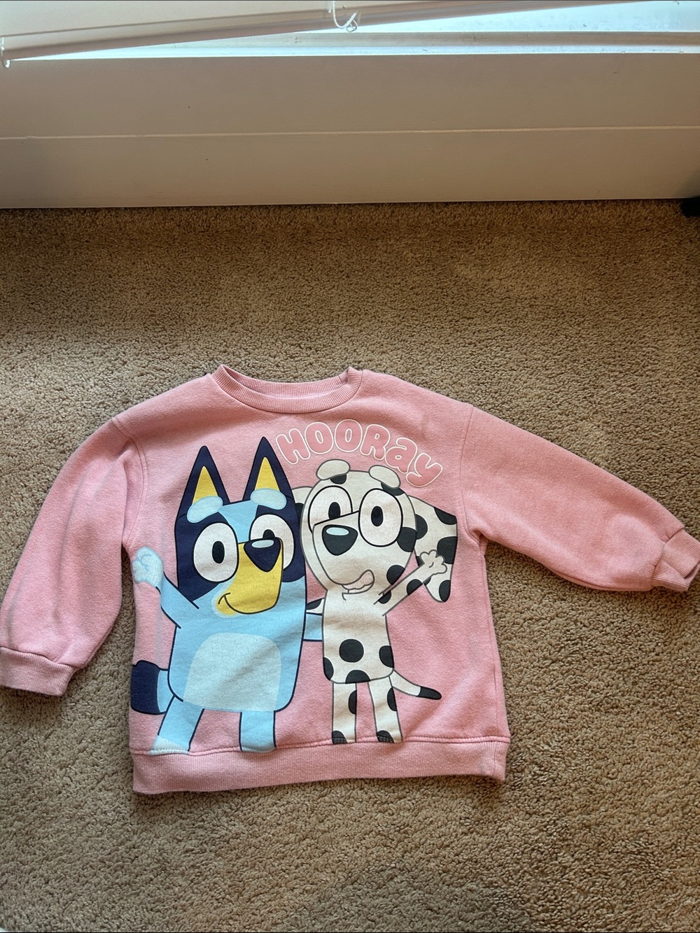 Bluey sweatshirt 3t